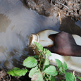2.2 million people in developing countries, most of them children, die every year from diseases associated with lack of access to safe drinking water, inadequate sanitation and poor hygiene. (WHO)