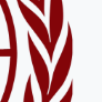 m.kondapally@modelun.org